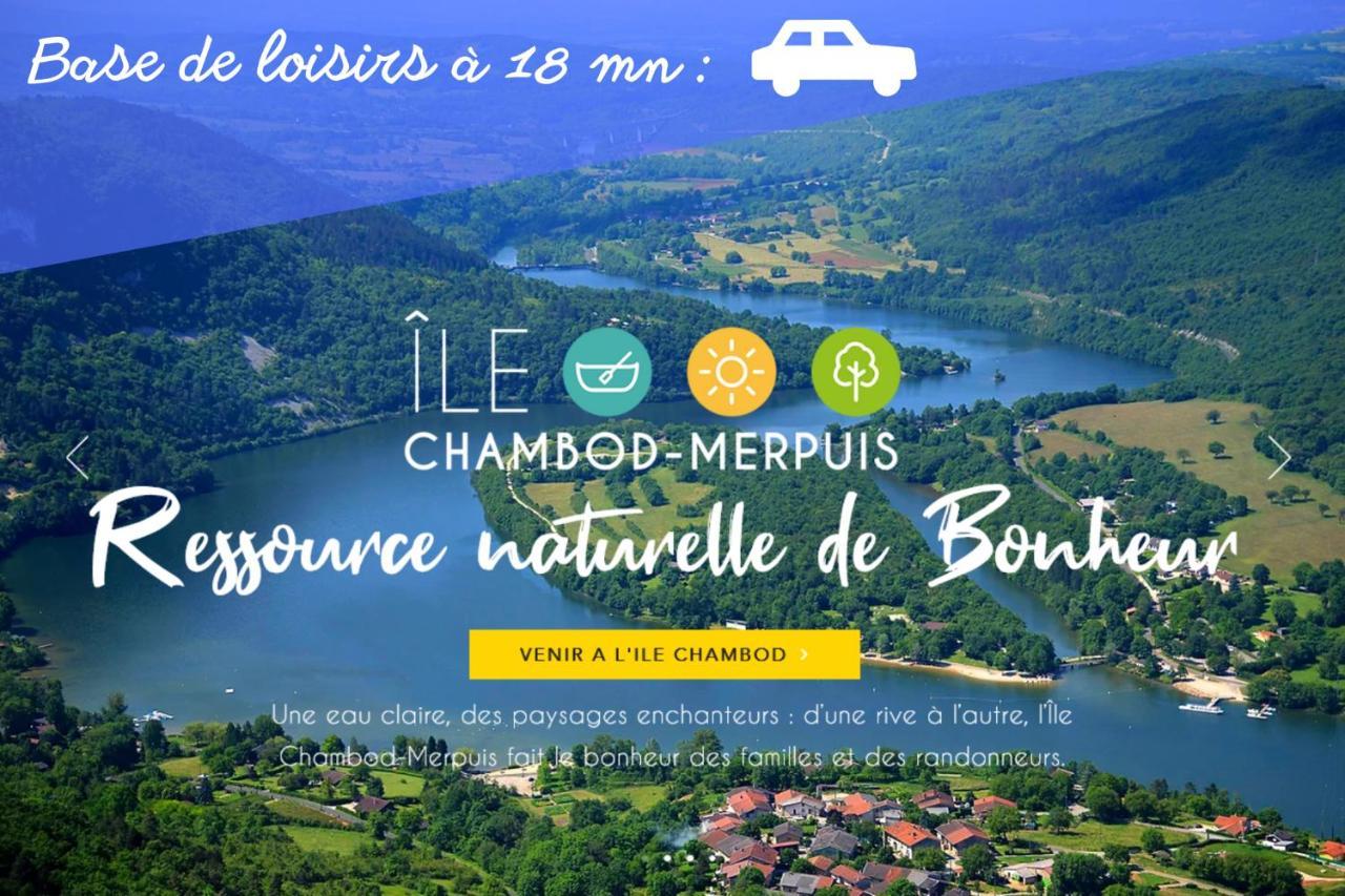 L'Emeraude - 1 A 4P - Wifi Fibre - Parking Gratuit Pont-d'Ain Exterior photo